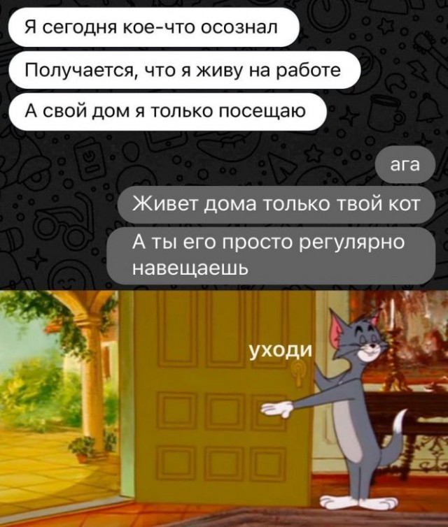 Картинки и мемы, всем хороших выходных