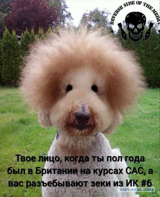 "Вагнер"