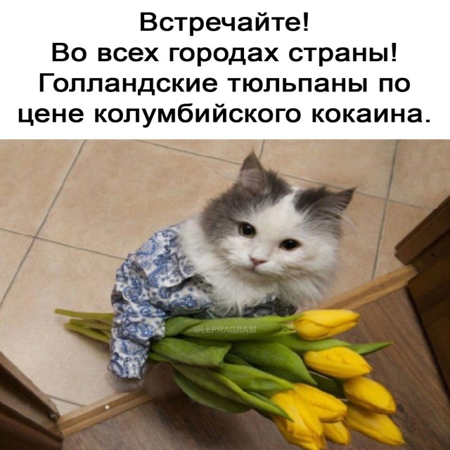Нуштош 08.03.23