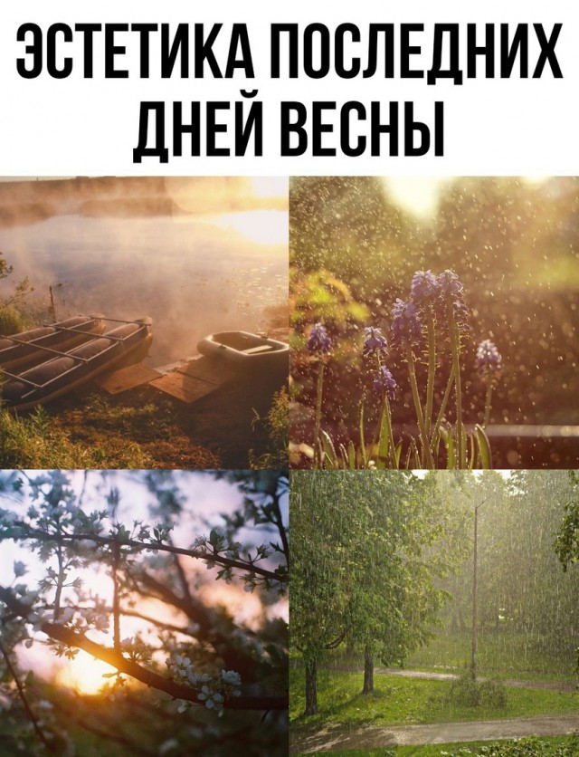 Так себе картинки 30.05.23