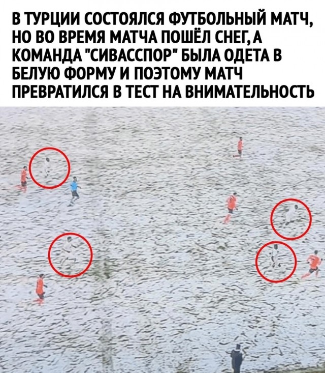 Так себе картинки 11.06.23
