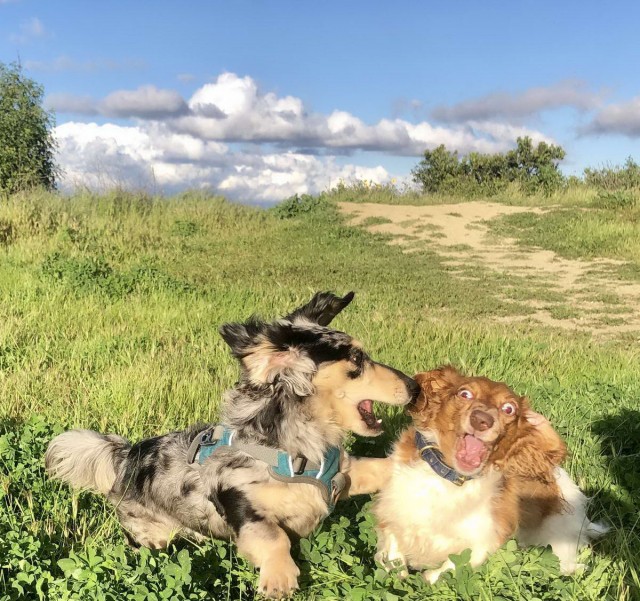 Подборка интересных и веселых картинок