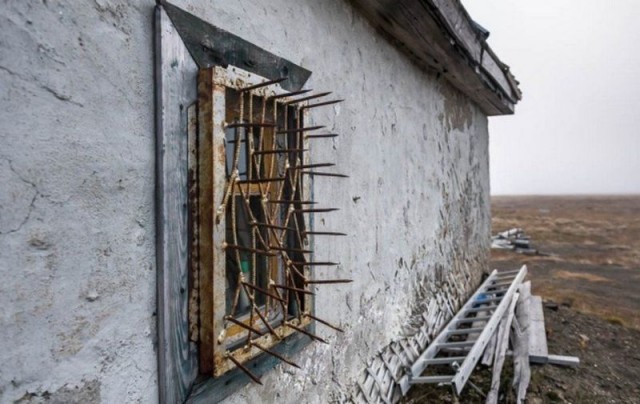 Дом в лесу купил, а покой не продали