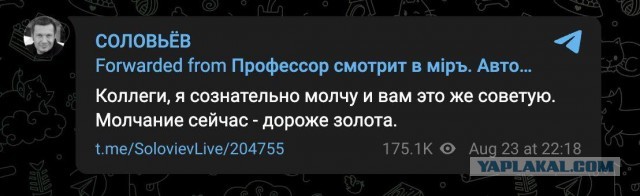 Тела Пригожина и Уткина опознаны - "Царьград"