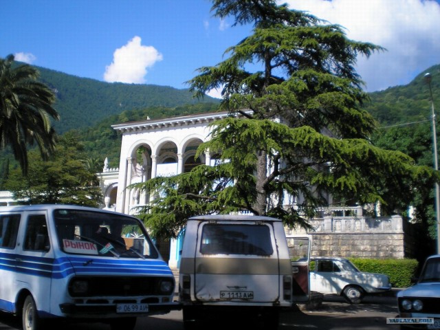 Абхазия зимой