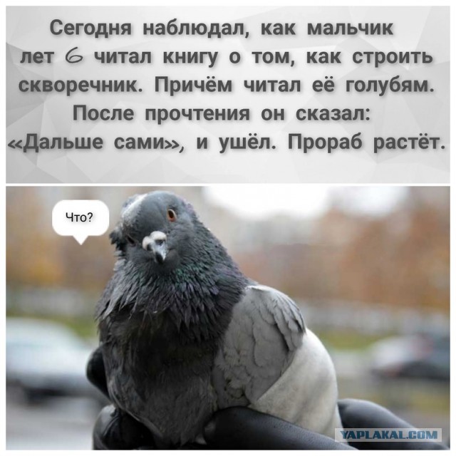 Забавные картинки, шутки из этих ваших интернетов
