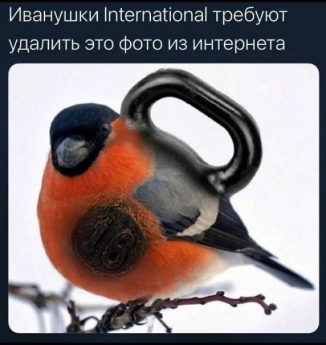 Бояны 5-ти летней выдержки