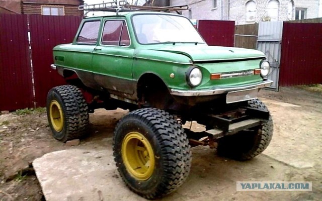 Сюрприз от жены...