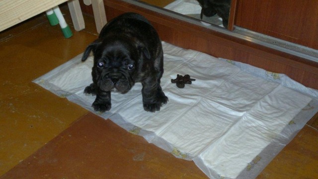 Да откройте же дверь наконец!