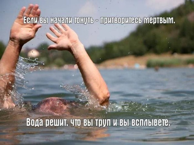 Всего понемногу. От 22.07.24