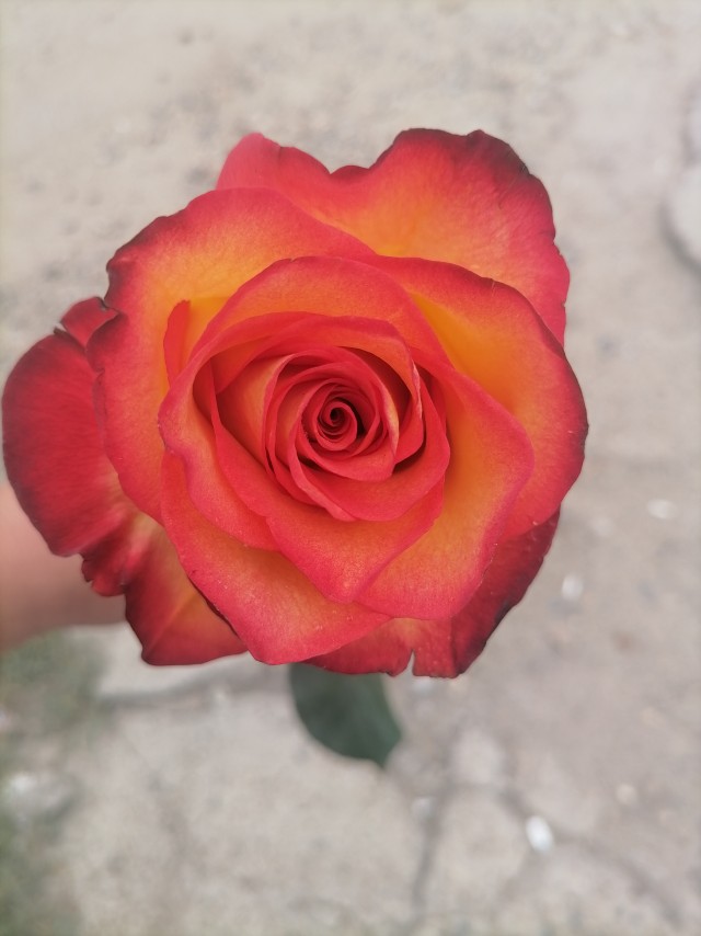 ФотоВинегрет
