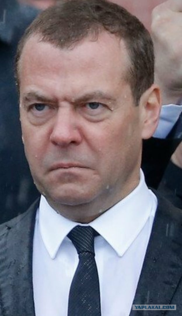 «Хочется, конечно, чтобы сгнили в застенке или сдохли в тюрьме»: Дмитрий Медведев