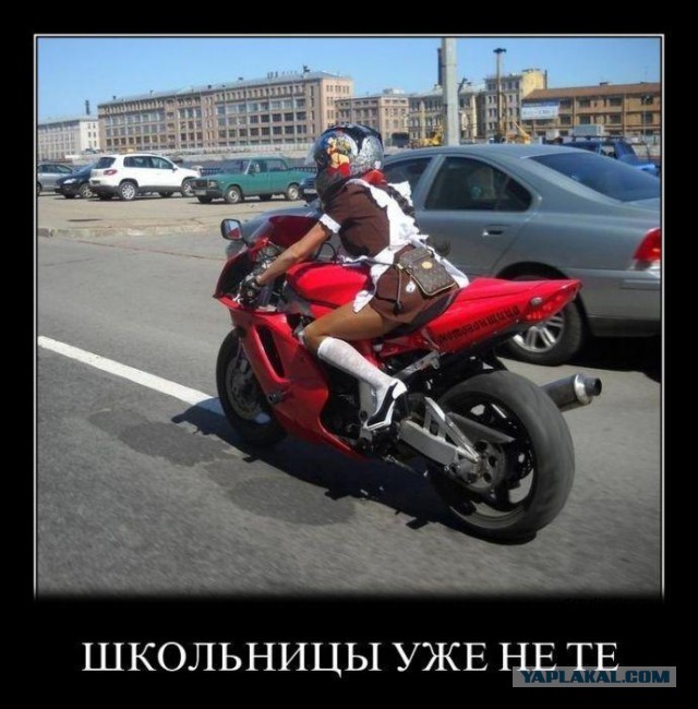 Правильные выпускницы