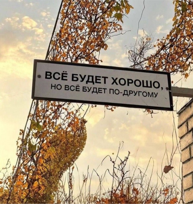 Прикольные и просто красивые картинки 10.01.2025