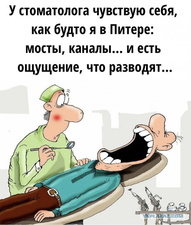 Юмор за день