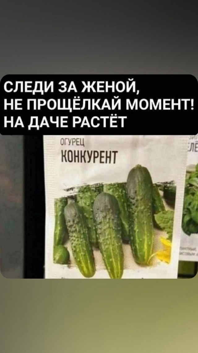 Так себе картинки 10.06.25