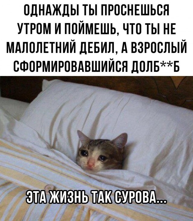 Нуштош 04.07.2025. Обитатели обители теней (s4e2)