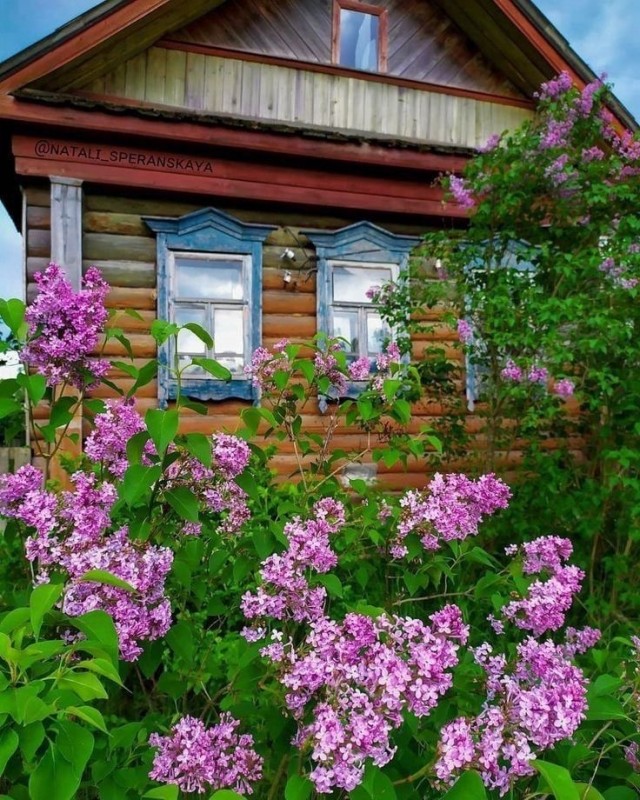 Прикольные и просто красивые картинки 12.08.2025