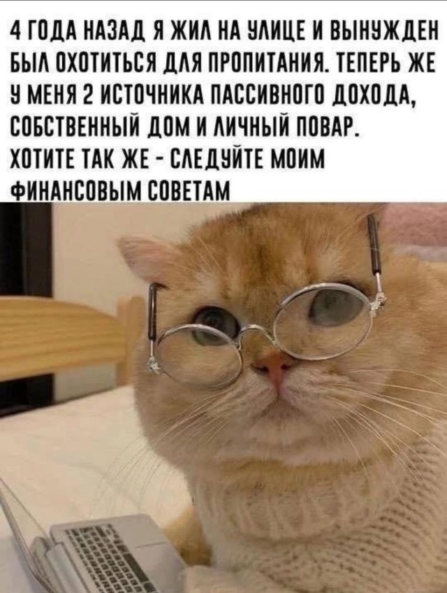 Так себе картинки 03.09.25