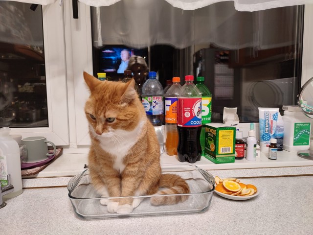 Ночной кошмар