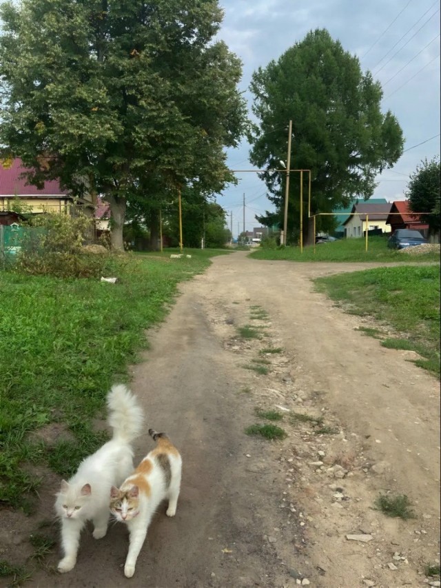 Провожаем лето
