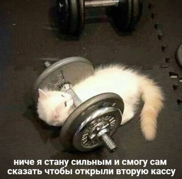 Среды картинки