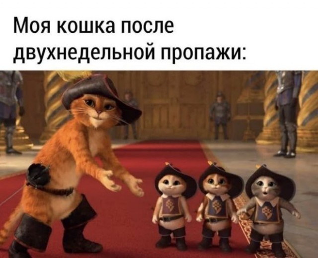 Картиночки, баянчики 03 января