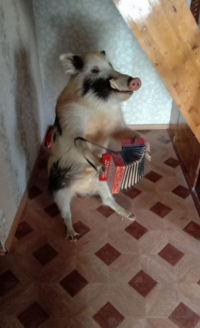 Хочу и себе. Не знаю зачем