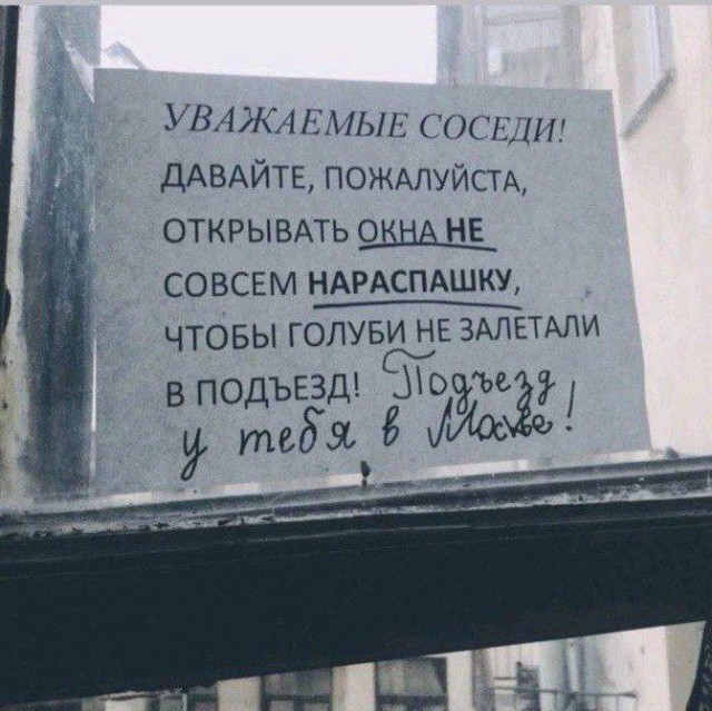 Картинки всякие разные невпопад 1.2