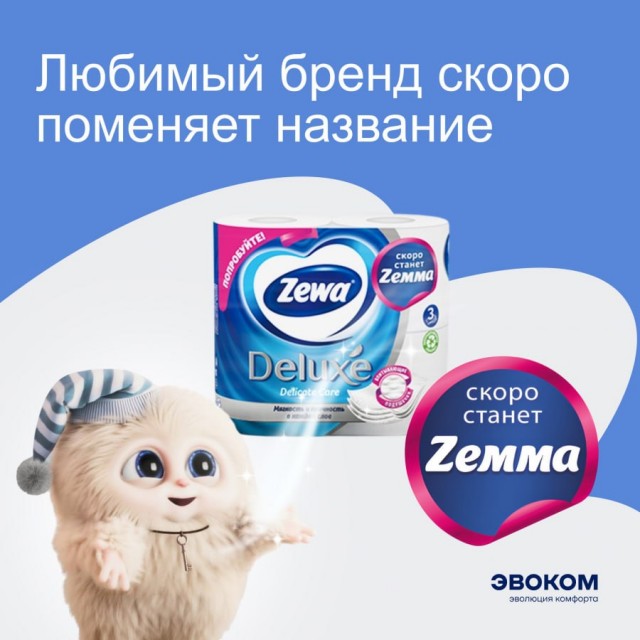 Zewa — всё. Компания официально сменила название на Zemma