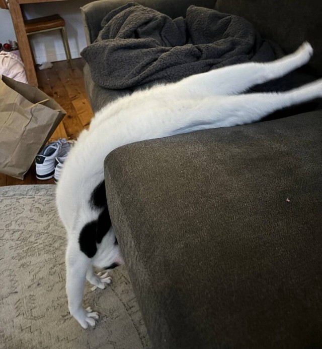 Забавные и интересные фото из Сети 23.04.26