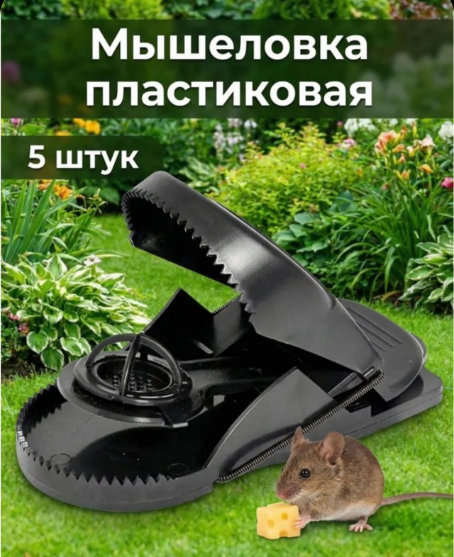Солянка от МАО.