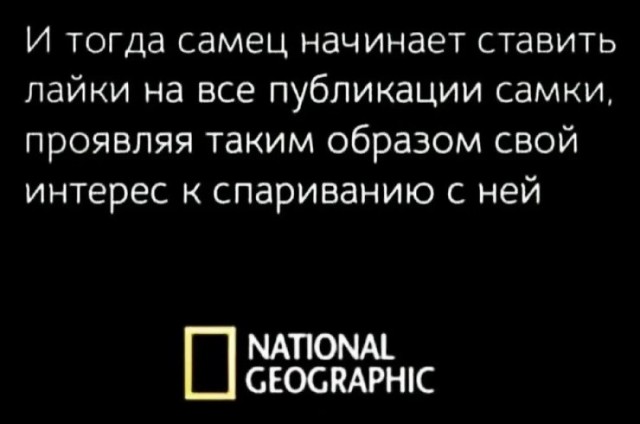 Так себе картинки 05.07.26