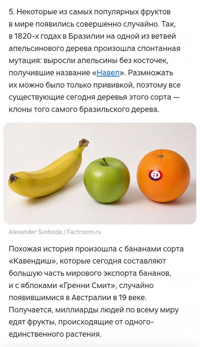 Познавательные картинки