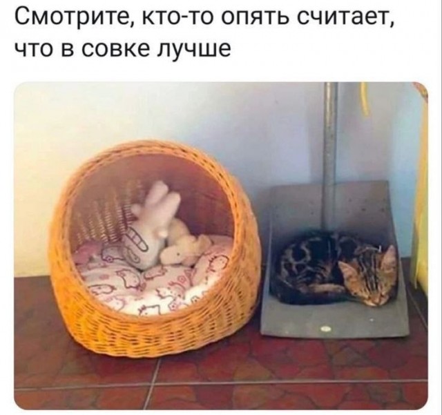 Не жалеет ли Народ что массово вышел на протест против ГКЧП август 1991?