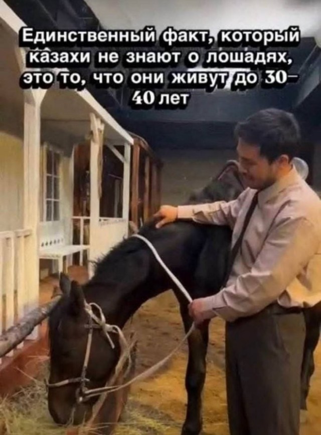 Человечище