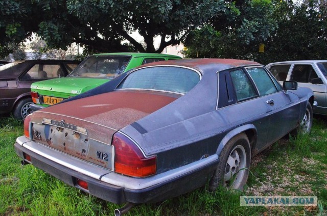 Застывшие во времени