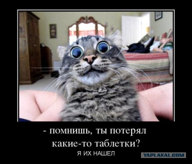 Демотиваторы.