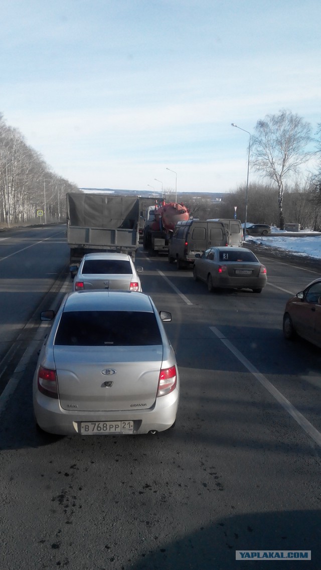 Озеленение Владивостока.