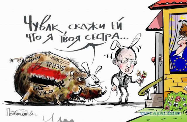 Десяток карикатур