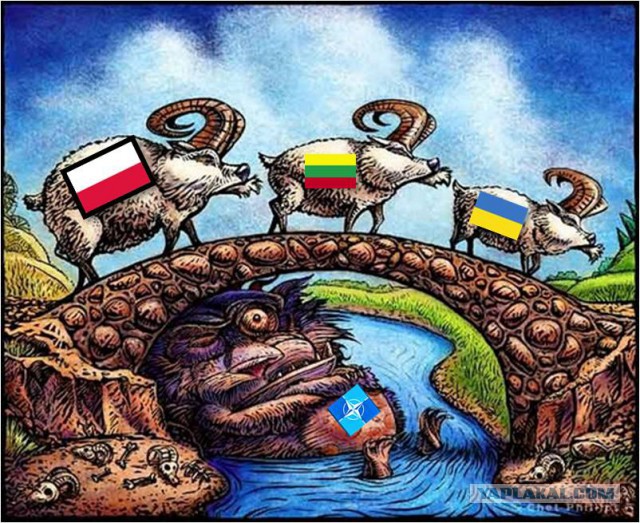 Военная бригада Украины, Польши и Литвы ...