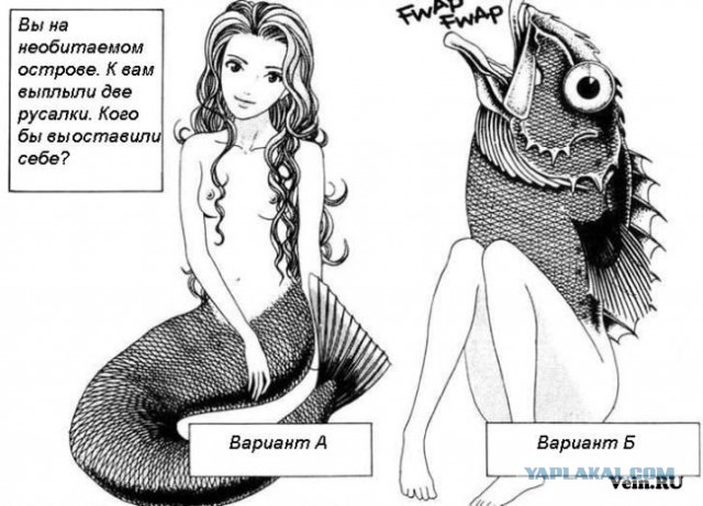 Смешные картинки и комментарии