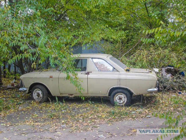 Нашел в кустах