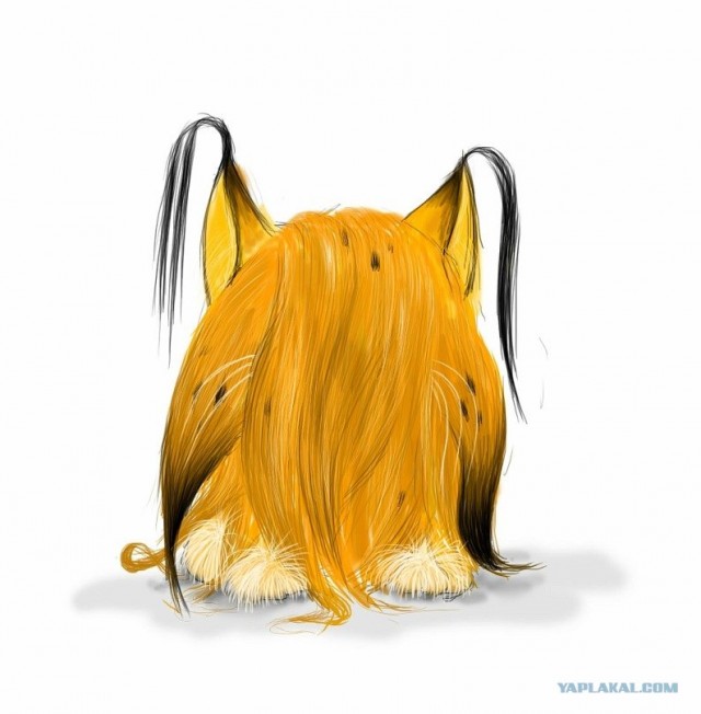 Рисованный котовторник