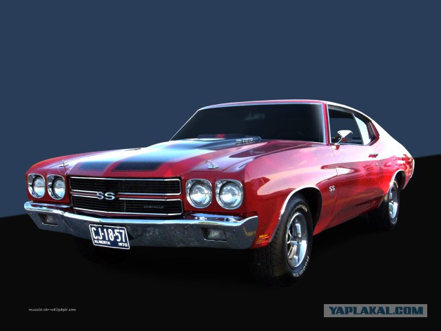 Muscle cars. История сумасшествия