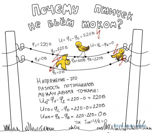 Инженер - это половая ориентация!