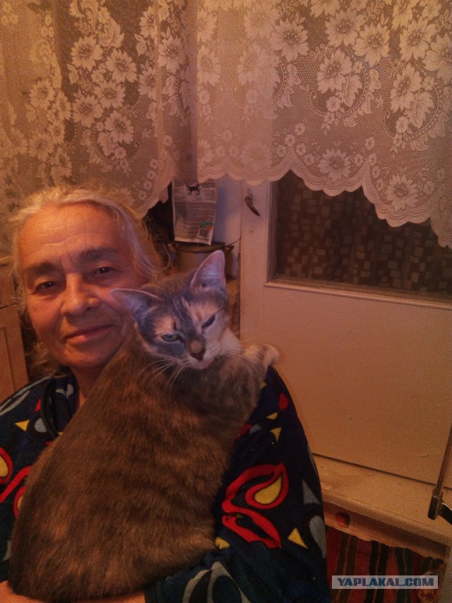 Котовторник 20.10.2015