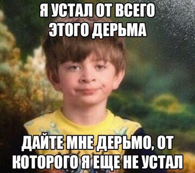 Забавные картинки из Сети