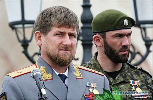 Шакалы будут наказаны по закону РФ