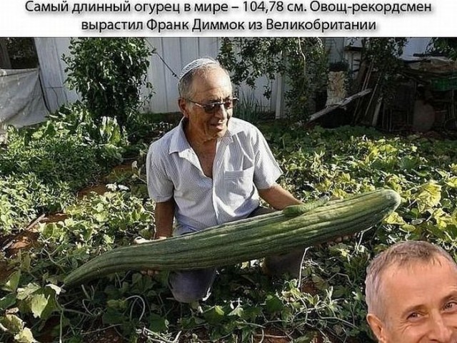 Вот Вам юмор